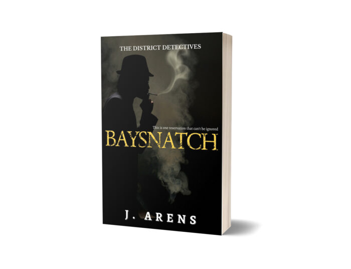 The District Detectives: Baysnatch (Book 2) - Image 6